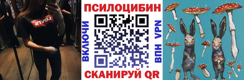 blacksprut рабочий сайт  Михайлов  Псилоцибиновые грибы Cubensis 